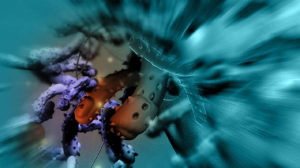 癌症夏季容易复发？医生：主要是护理没做好，4个要点要牢记