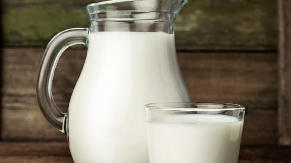 乳糖不耐受可以喝全脂牛奶吗