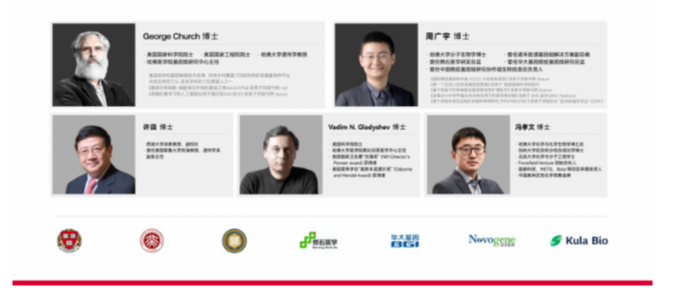 从疲惫到轻盈，中年人开启科学护肝新方式——LAIFE「乐轻肝」
