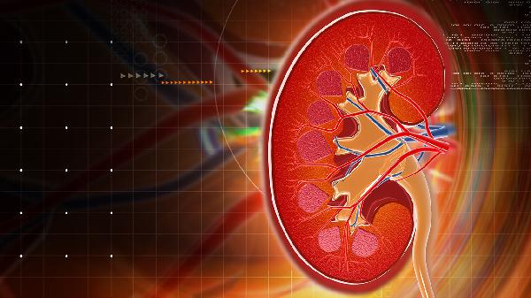 腎炎為什么有蛋白尿 了解腎炎和蛋白尿的關(guān)系
