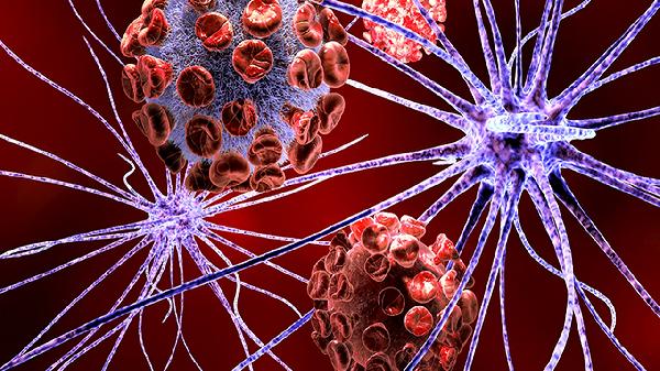 生理性囊腫和病理性囊腫的區(qū)別