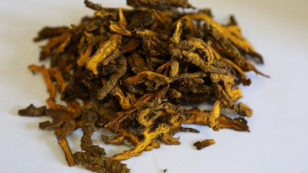 复方黄连素片要多少钱