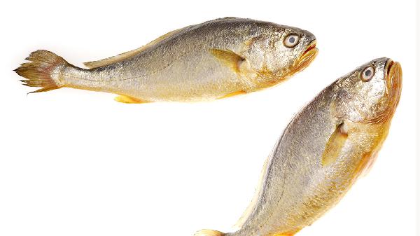 怎樣煎魚不粘鍋10種方法教你花式