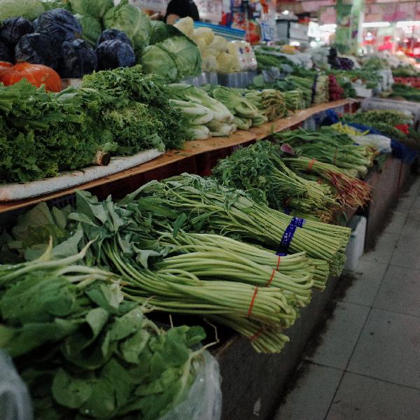 白色塑料菜板黑了什么原因造成的
