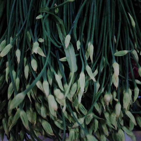 切菜板發(fā)霉了怎么去除小竅門塑料