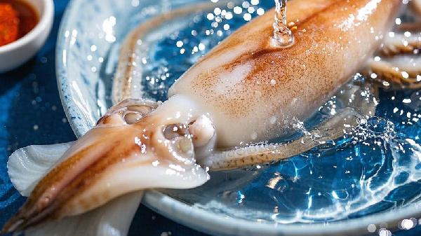 新鮮魷魚(yú)怎么存放是冷凍還是冷藏