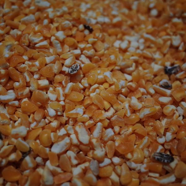 防糧食生蟲(chóng)發(fā)霉的小妙招有哪些呢