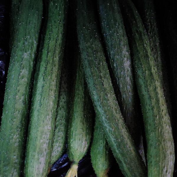 新買竹菜板怎么處理才不會(huì)長(zhǎng)霉