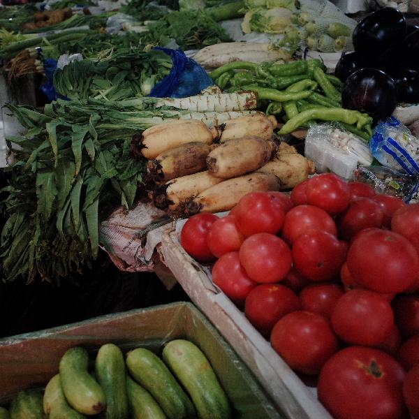 塑料菜板发霉发黑的原因有哪些