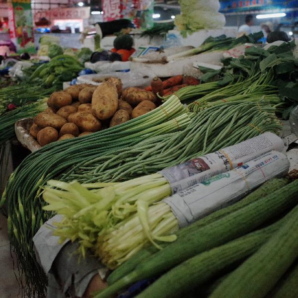 菜板pe材質(zhì)好還是pp材質(zhì)好
