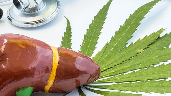 肌肉萎缩最怕的三种蔬菜