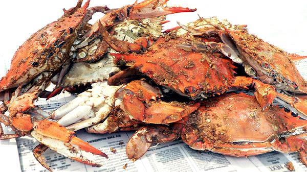 海鲜放什么看上去比较新鲜一点