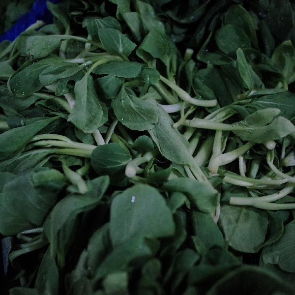 十大清肠蔬菜排行榜