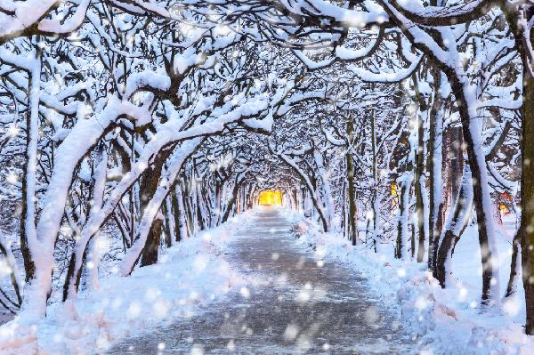滑雪前不佩戴滑雪鏡會造成什么后果