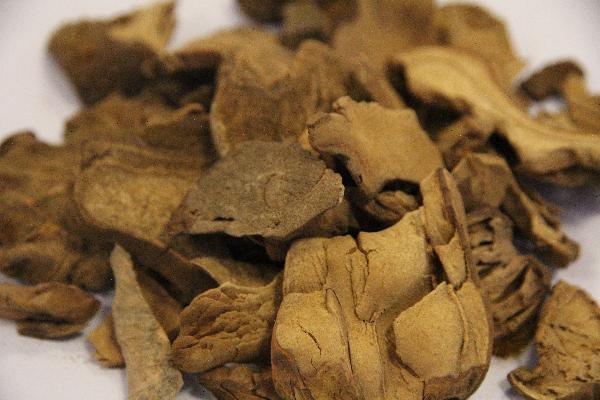 活血化瘀吃什么中药调理最好
