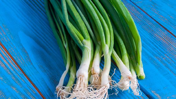葱买多了可以放冰箱冷冻吗