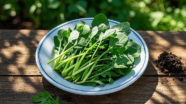 当前的野菜的吃法和种类有哪些