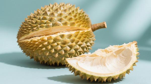 吃完的榴莲壳属于哪类垃圾食品