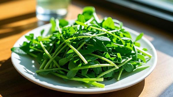 当前的野菜的吃法和种类是什么