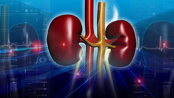 肾囊肿手术一般几个小时可以吃东西了