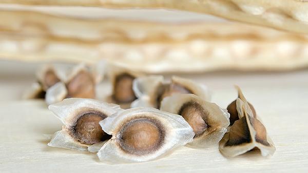 常温下如何保存肉类食品不变质