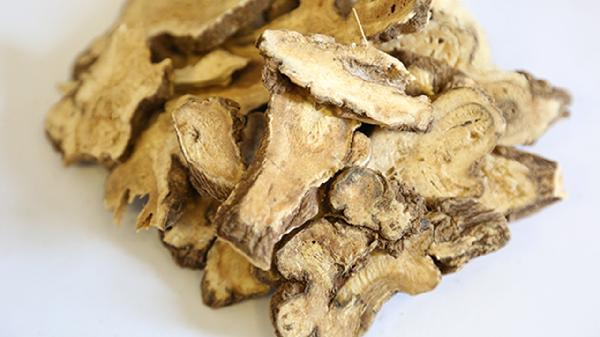 生白术可以直接泡水喝吗