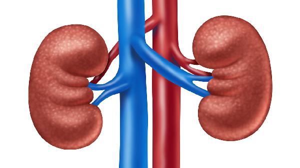 腎結(jié)石腎積水會(huì)引起尿毒癥嗎嚴(yán)重嗎