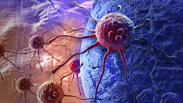 乳头瘤病毒hpv53阳性是什么病