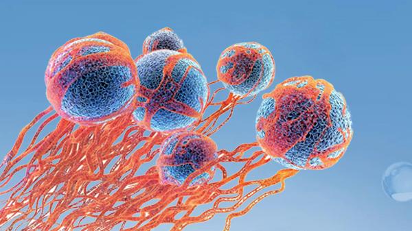 hpv68高危阳性多久会得癌症现