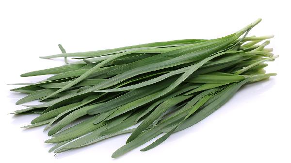 韭菜可以和哪些食物一起炒