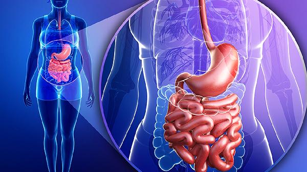 喝什么清肠道排宿便最有效的方法