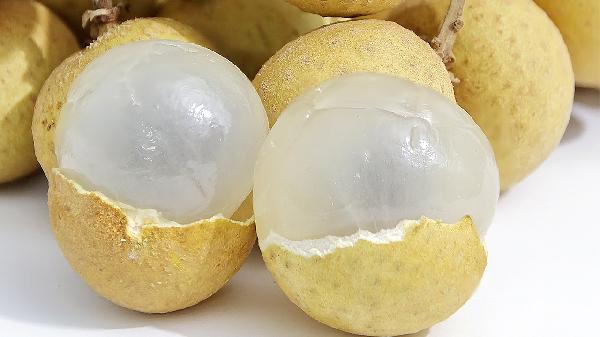 含脂肪丰富的食物有哪些呢