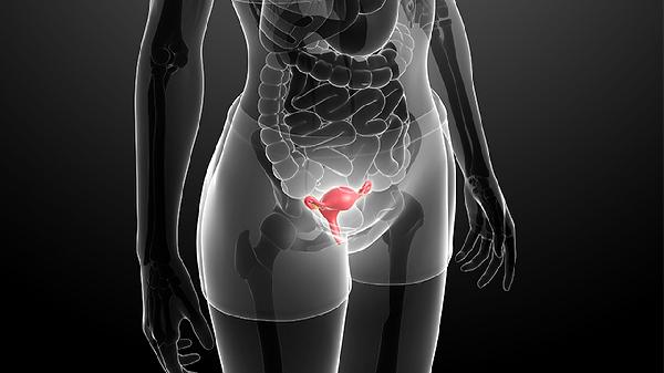 阴用乳杆菌活菌胶囊治疗宫颈炎吗