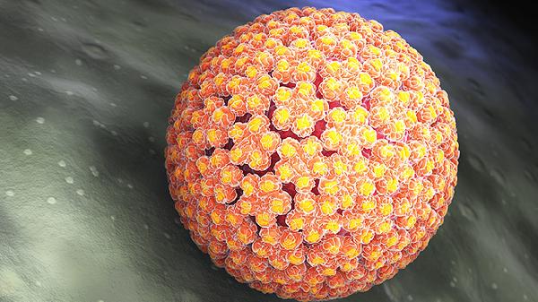 hpv68病毒离开人体存活多久