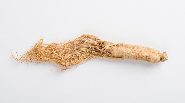 干人參泡水喝的正確方法是什么