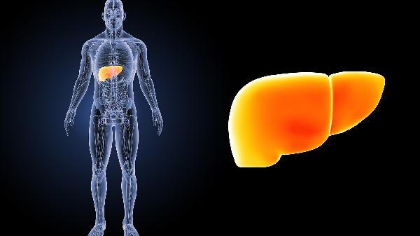 什么是膽囊腫瘤 膽囊腫瘤良性幾率大么