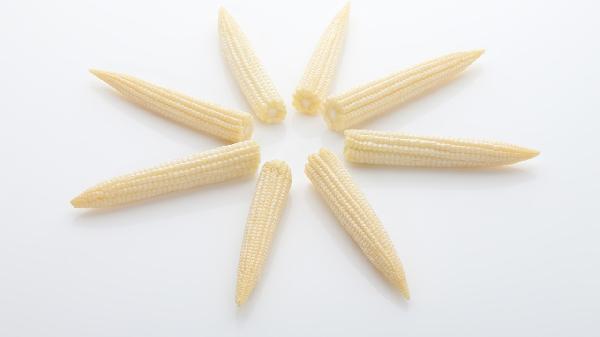 什么食物是高脂肪高热量的食物