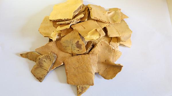 鱼腥草滴眼液不能与什么药物合用