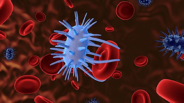 红细胞正常值是多少mmol/l