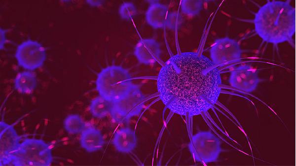 嗜碱性粒细胞比率1.20严重吗