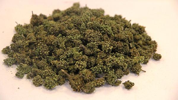 復方三七膠囊有什么注意事項