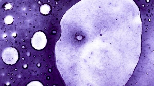 洗干净抹布是不是就没细菌了呀