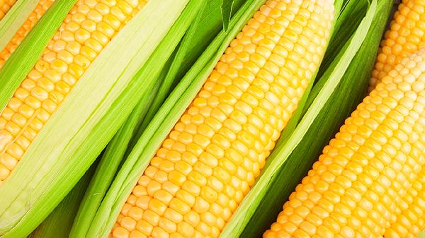 玉米汁用大米还是糯米