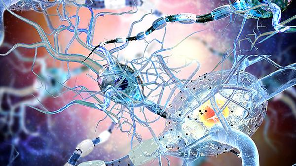 人乳头瘤病毒53型阳性严重吗