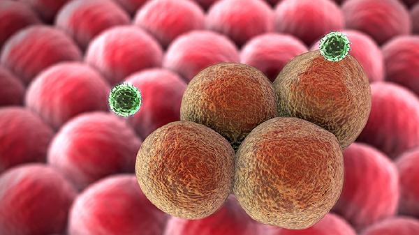 有些细菌还能分解污水中的什么