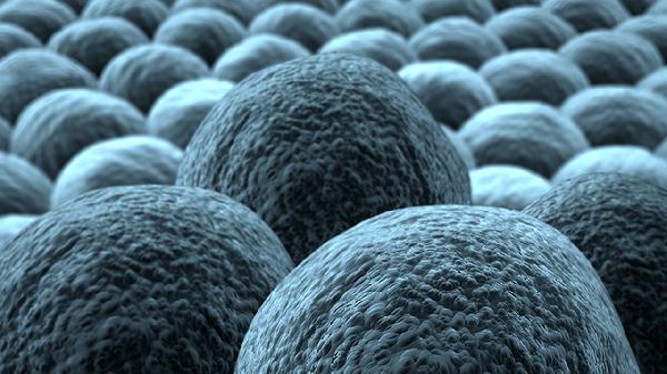 有些细菌还能分解污水中的什么