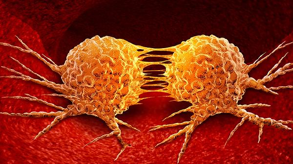 洗干净抹布是不是就没细菌了呀