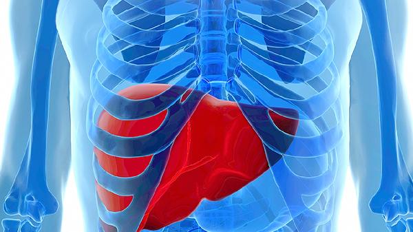 如何养肝护肝10个方法教会你