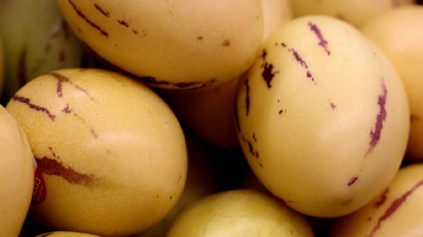 吃什么食物对肝好怎么养肝护肝