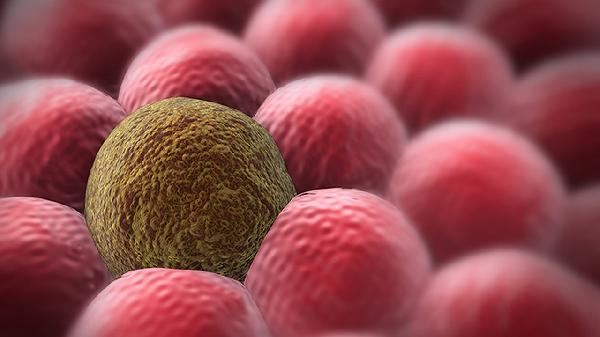 感染了人乳头瘤病毒到底能不能治好